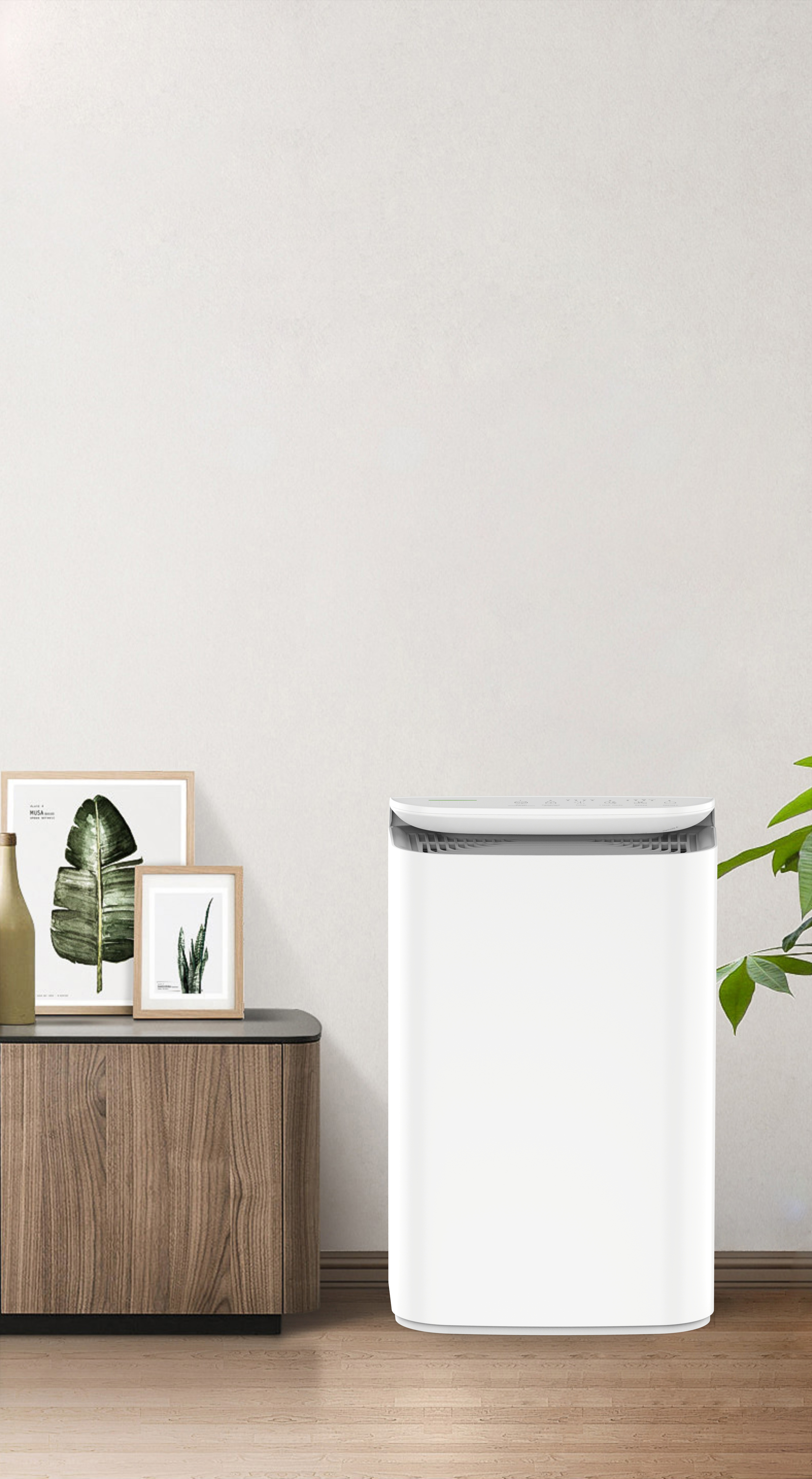 Atualize a Tecnologia do ânion respiração fresca da floresta BKJ-16B